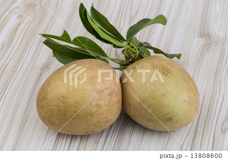 Sapodilla Sapodilla 13808600