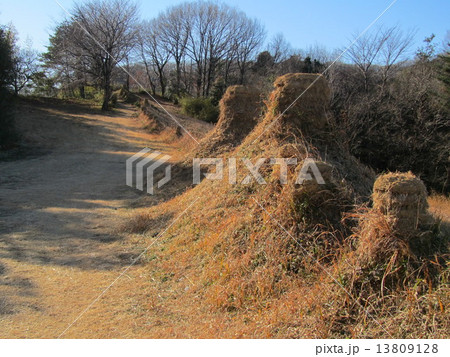 猪俣の百八燈の塚（埼玉県児玉郡美里町猪俣） 13809128