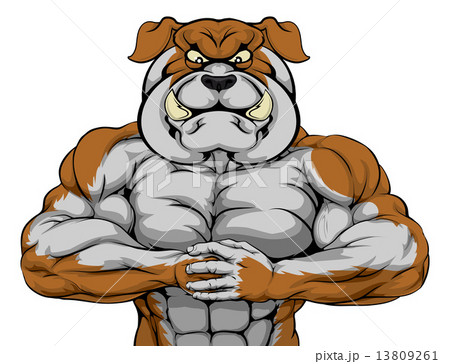 Strong Bulldog Mascot Strong Bulldog Mascot 13809261