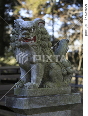 狛犬 狛犬 13809659