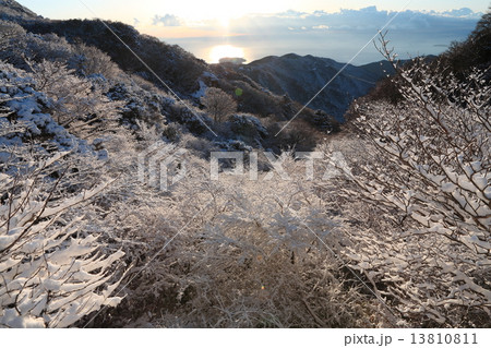 大観山展望 13810811