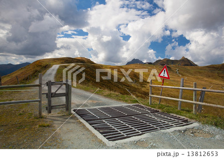 Cattle Guard in the Tyrolean mountains,Austria Cattle Guard in the Tyrolean mountains,Austria 13812653