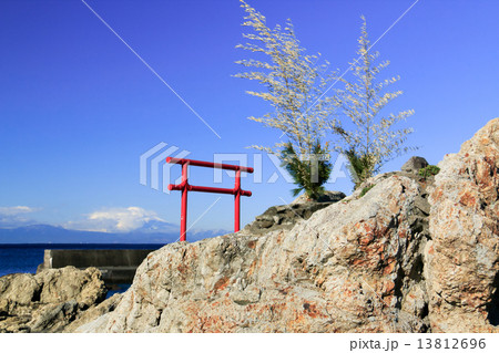 葉山一色海岸の冬 葉山一色海岸の冬 13812696