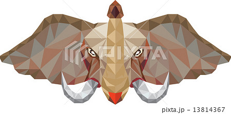 Elephant Head Tusk Low Polygon 13814367