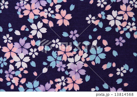 桜模様 13814568