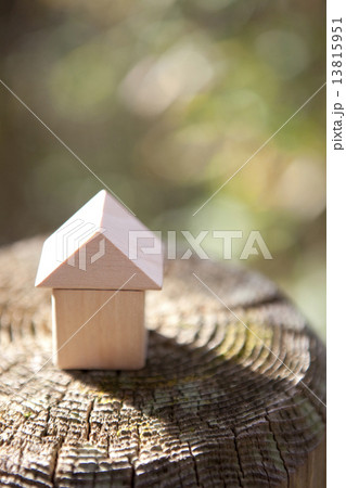 切り株の上に置かれた木製の家 13815951