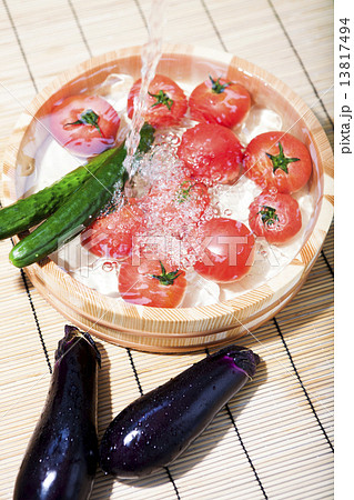 夏野菜 13817494