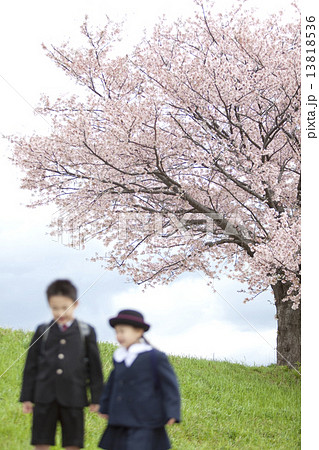 桜と子供たち 13818536