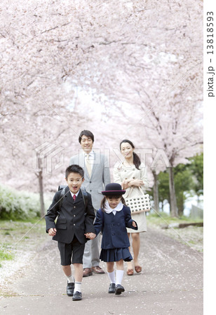 桜並木と4人家族 13818593