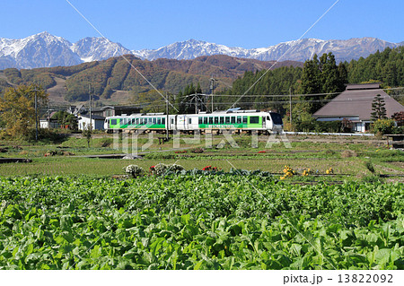 大糸線・北アルプス冠雪 13822092