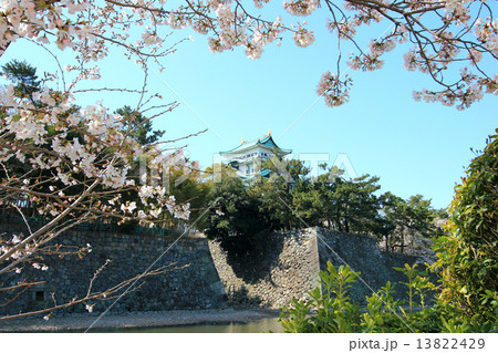 名古屋城 13822429