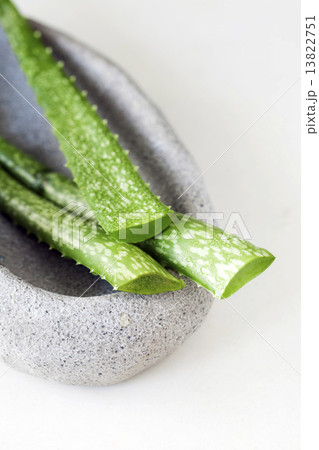 Fresh aloe vera Fresh aloe vera 13822751