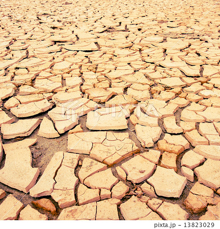 cracked soil during drought 13823029