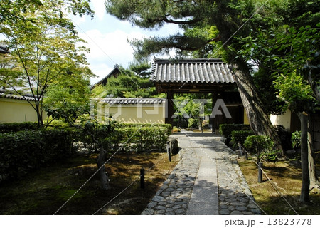京都鹿王院の庭園風景 13823778