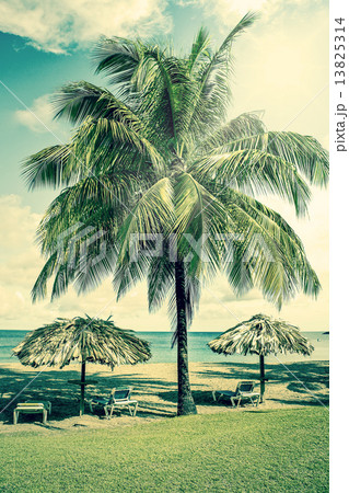Tropical beach resort in the caribbean Tropical beach resort in the caribbean 13825314