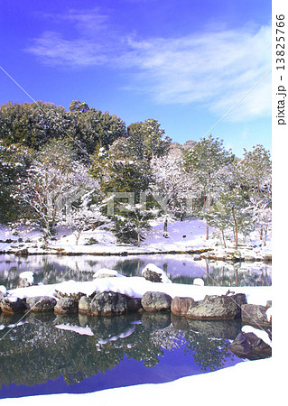 1月京都 天龍寺・曹源池庭園 13825766