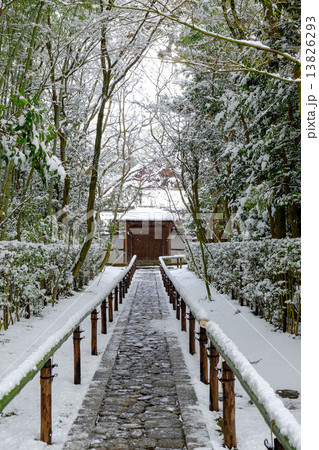 雪の大徳寺高桐院 13826293