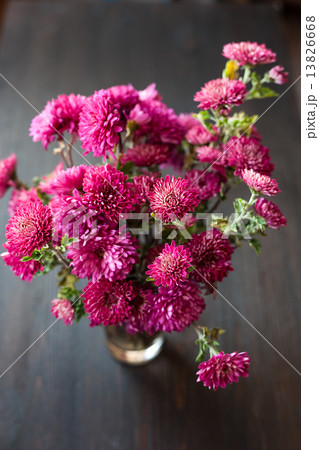 Dahlia Autumn flower design 13826668