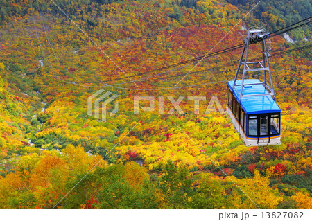 秋の立山ロープウェイ 秋の立山ロープウェイ 13827082