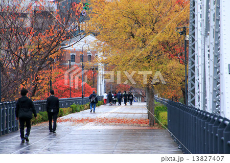 みなとみらいの紅葉 13827407