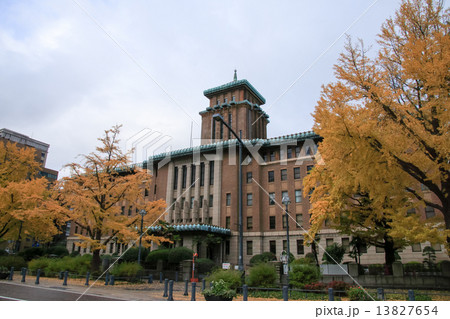 日本大通りの紅葉 13827654