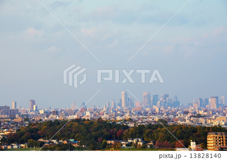 武蔵小杉から望む新宿方面の景色 13828140