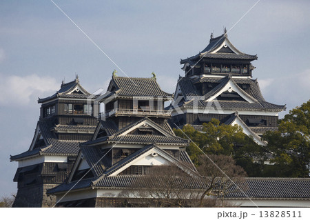 熊本城天守閣 13828511