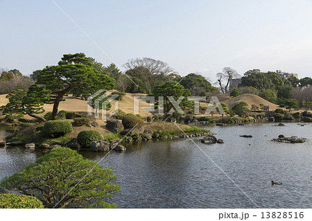 水前寺公園の池 水前寺公園の池 13828516