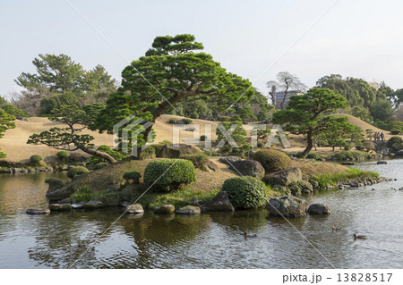 水前寺公園の池 13828517