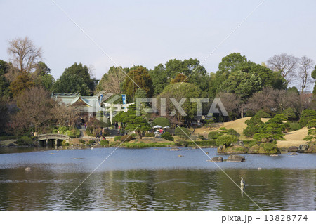 水前寺公園の湧水池 水前寺公園の湧水池 13828774