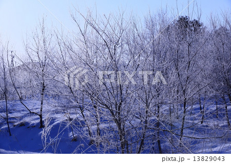 冬の風景 13829043