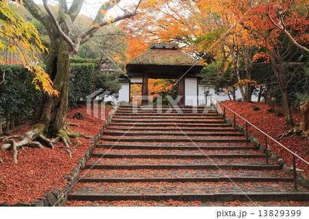 秋の東山安楽寺 秋の東山安楽寺 13829399
