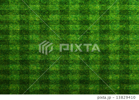 Green grass soccer field background Green grass soccer field background 13829410