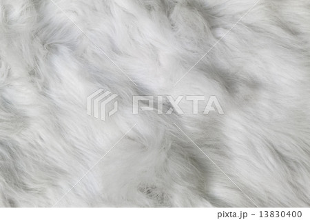 Sheep Wool as background 13830400