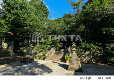 御霊神社の7月 御霊神社の7月 13831480