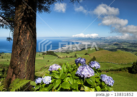The landscapen on Sao Miguel The landscapen on Sao Miguel 13831852