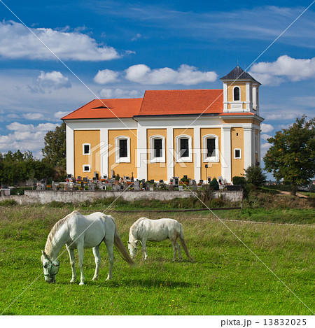 Pilgrimage place on the hill in Chotec Pilgrimage place on the hill in Chotec 13832025