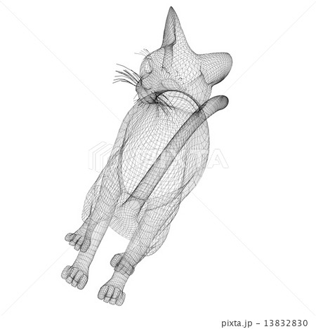 cat wire model cat wire model 13832830