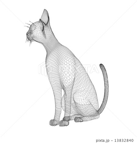 cat wire modelのイラスト素材 [13832840] - PIXTA