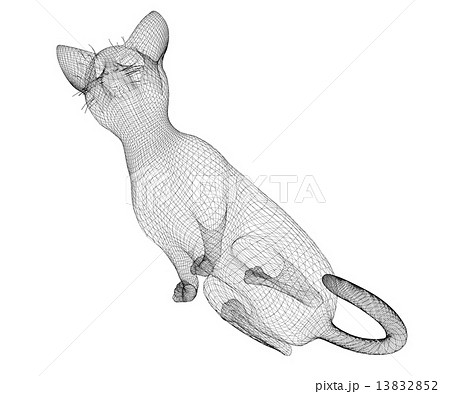 cat wire modelのイラスト素材 [13832852] - PIXTA