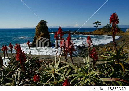 秋谷 立石海岸 秋谷 立石海岸 13835346