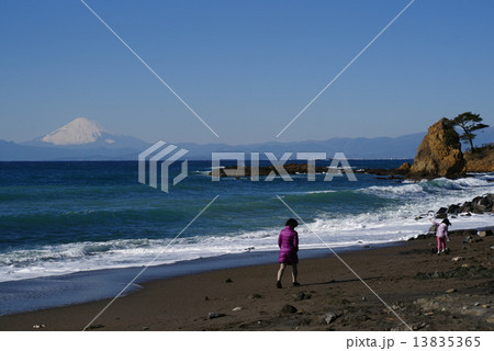 秋谷　立石海岸 13835365