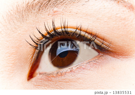 アジア人　日本人　つけまつげ　Eyes of the Asian woman 13835531