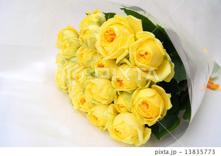 黄色いバラ カタリナ のブーケの写真素材