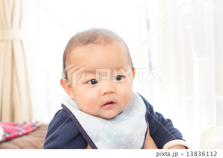 four months old 13836112
