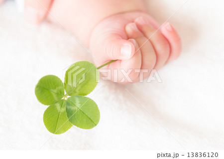 four months old four months old 13836120