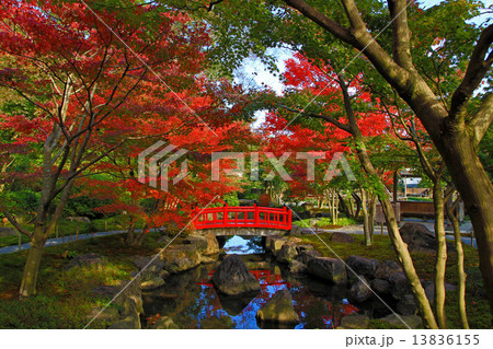 祐徳稲荷神社日本庭園 13836155