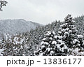 雪の山 13836177