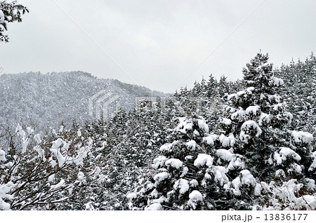雪の山 雪の山 13836177