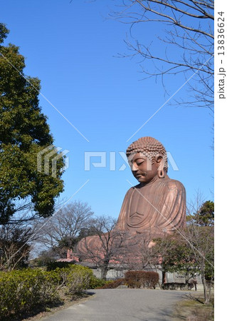 冬の聚楽園大仏 13836624